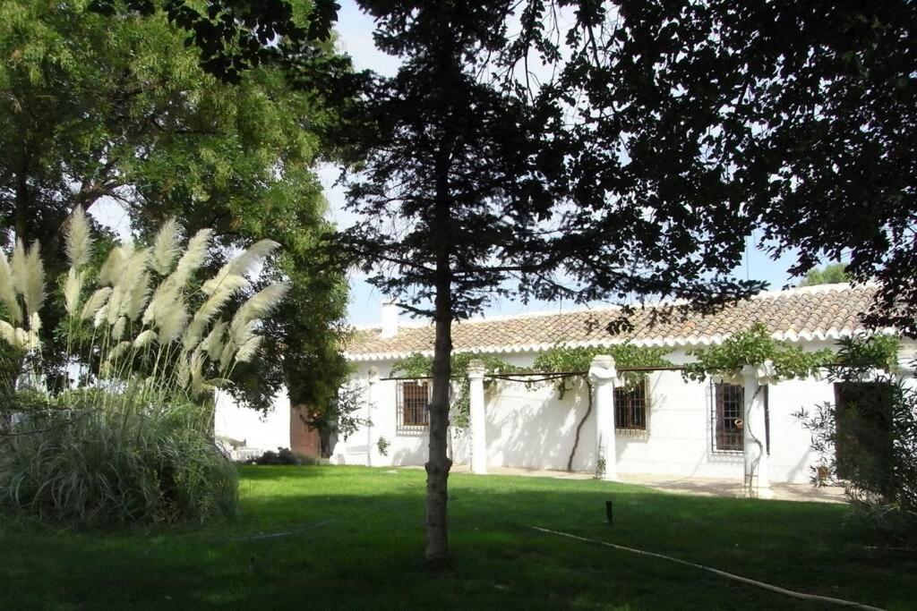 Casa El Carmen Villa Ciudad Real Exteriör bild