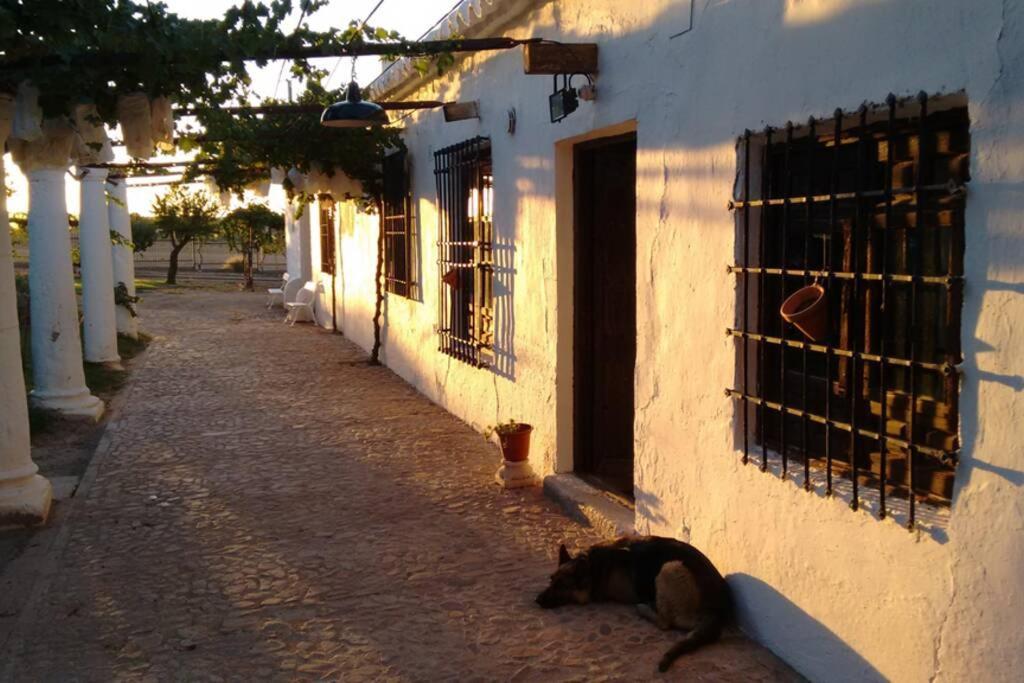 Casa El Carmen Villa Ciudad Real Exteriör bild