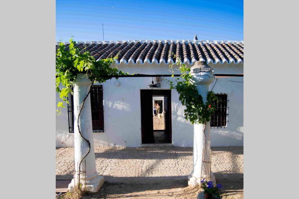 Casa El Carmen Villa Ciudad Real Exteriör bild